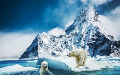 Un site « eco-friendly »…